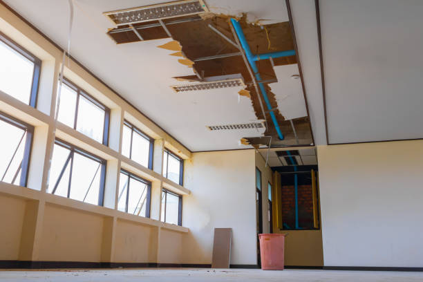 Best 24-hour water damage restoration  in Freeland, PA