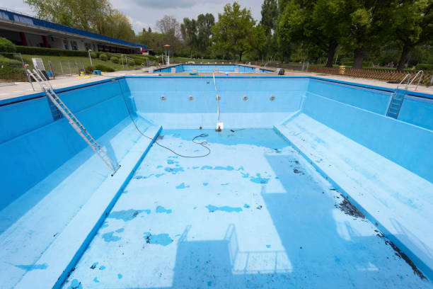 Best Carpet water damage restoration  in Freeland, PA