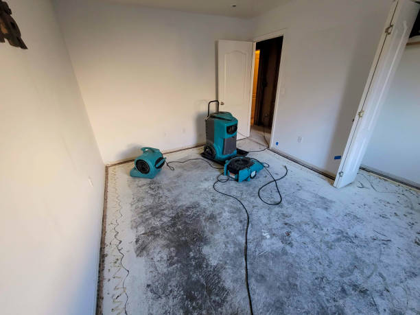 Best Residential water damage restoration  in Freeland, PA