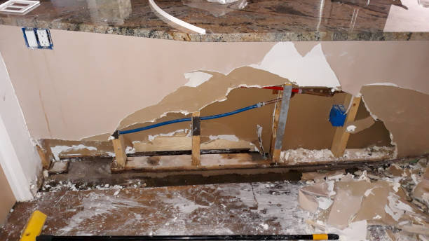 Best Professional water damage repair  in Freeland, PA