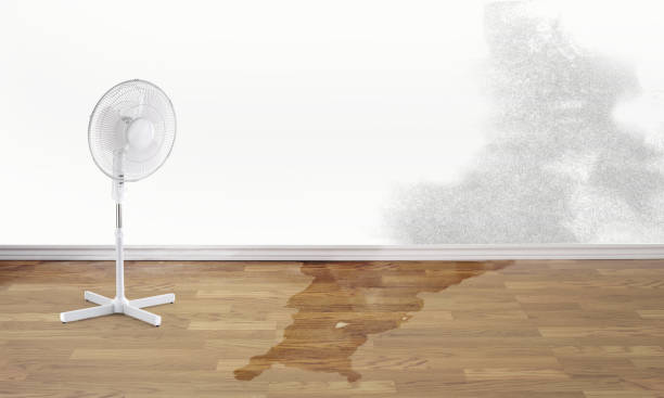 Water damage restoration experts in Freeland, PA