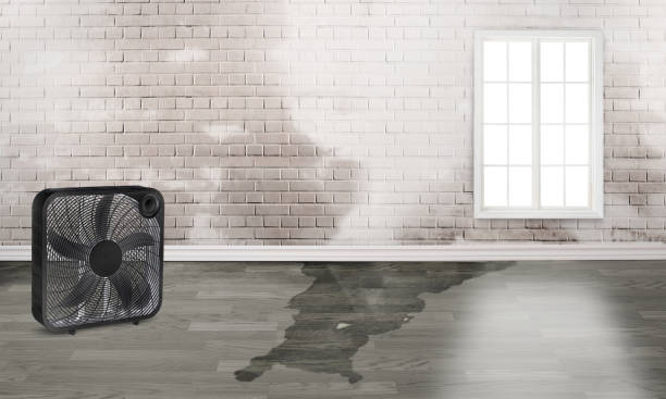Professional Water damage restoration in Freeland, PA