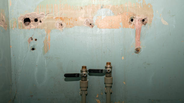 Best Flood restoration services  in Freeland, PA