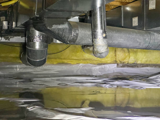 Best Flood damage cleanup  in Freeland, PA