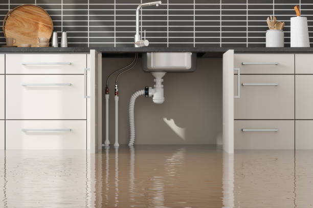Best Water damage restoration near me  in Freeland, PA