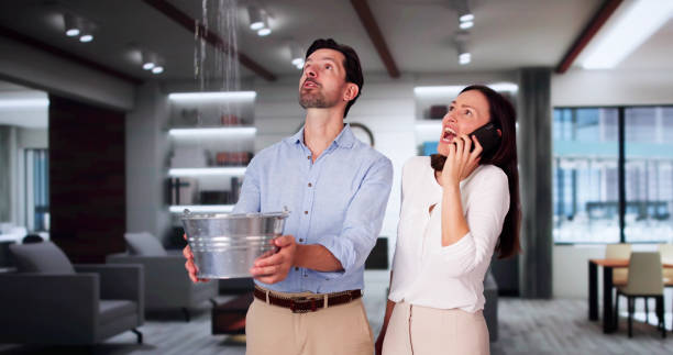 Local water damage restoration in Freeland, PA