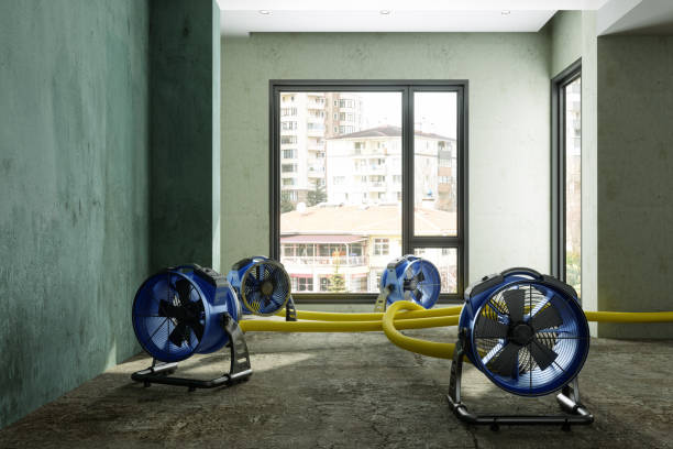 Best Water damage restoration near me  in Freeland, PA