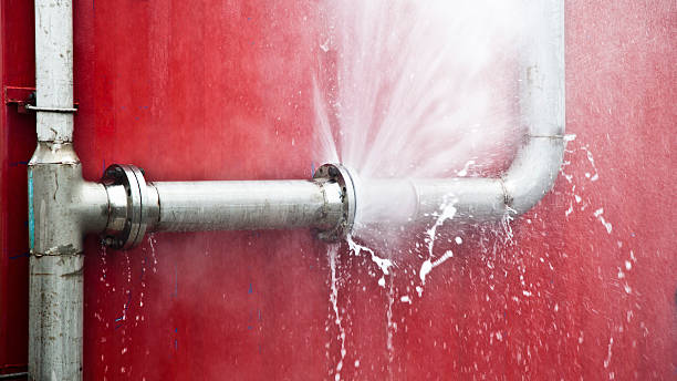 Best Sewage cleanup and water damage restoration  in Freeland, PA