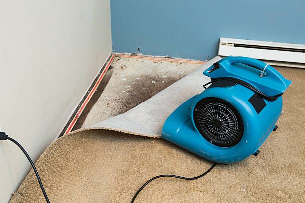Best Ceiling water damage repair  in Freeland, PA